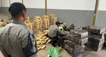 Polícia apreende mais de duas toneladas de maconha em galpão no Parque Oeste Industrial